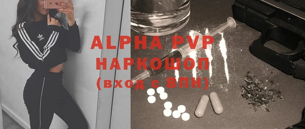 прущие грибы Майский