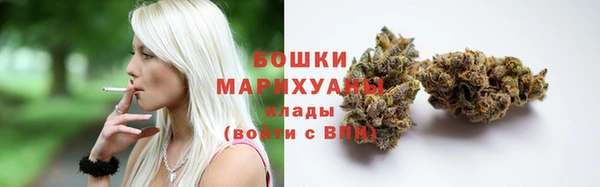 прущие грибы Майский