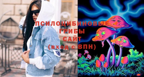 прущие грибы Майский
