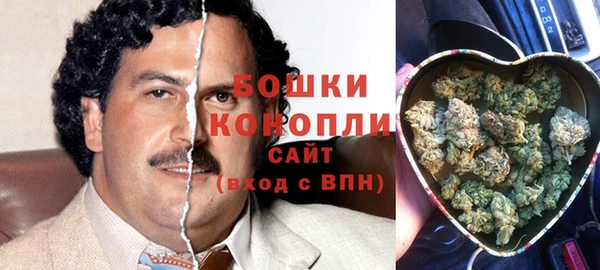прущие грибы Майский