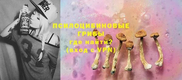прущие грибы Майский