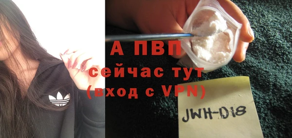 прущие грибы Майский