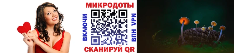 Псилоцибиновые грибы Psilocybine cubensis  Таруса 